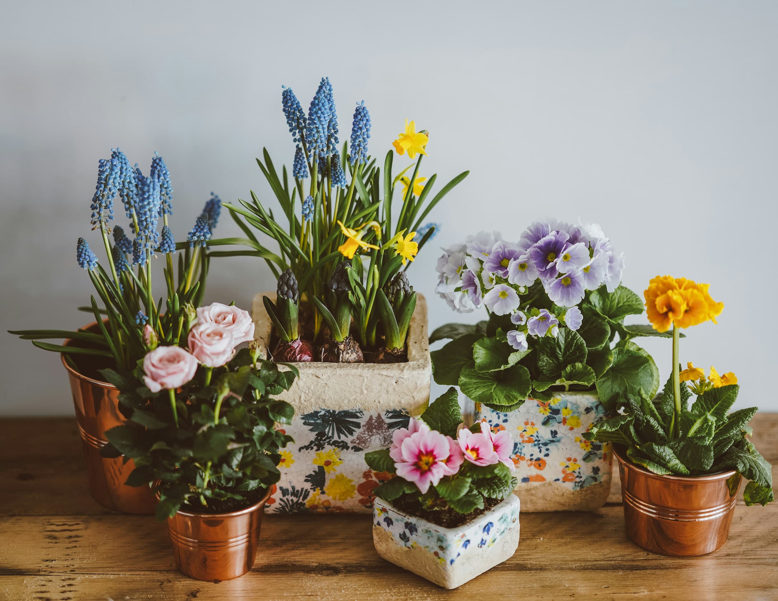 Herbs on a table