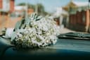 How Flower Brings Happiness