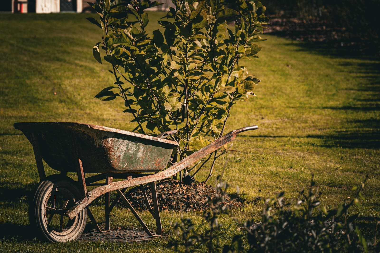 Garden Sewa Footer Background