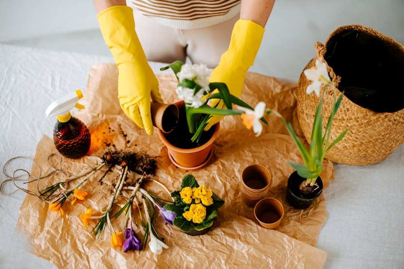 Gardening Makeovers