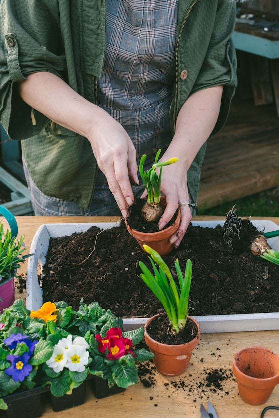 How to Detox Your Life Naturally With Everyday Habits