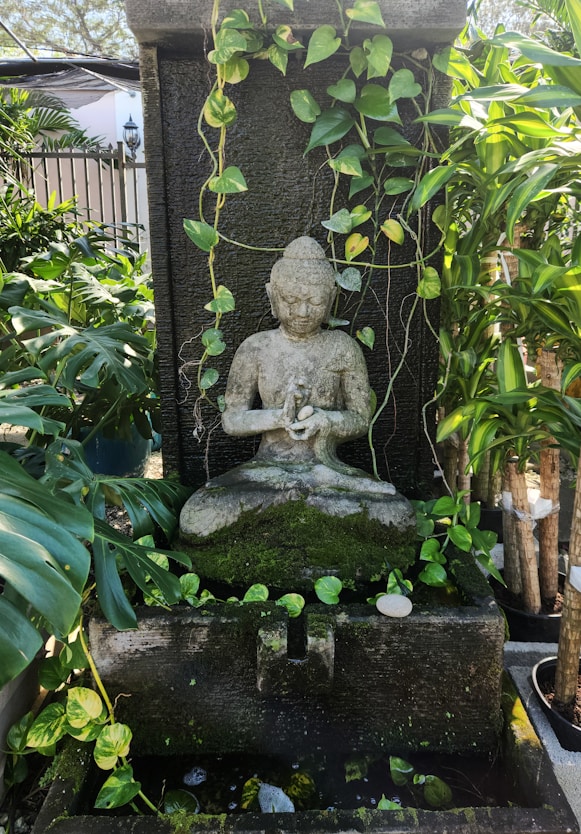 How Mindfulness and Gardening Go Hand in Hand