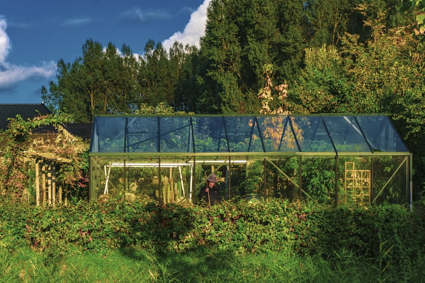 Green is the New Lifestyle — Embrace the Garden Life
