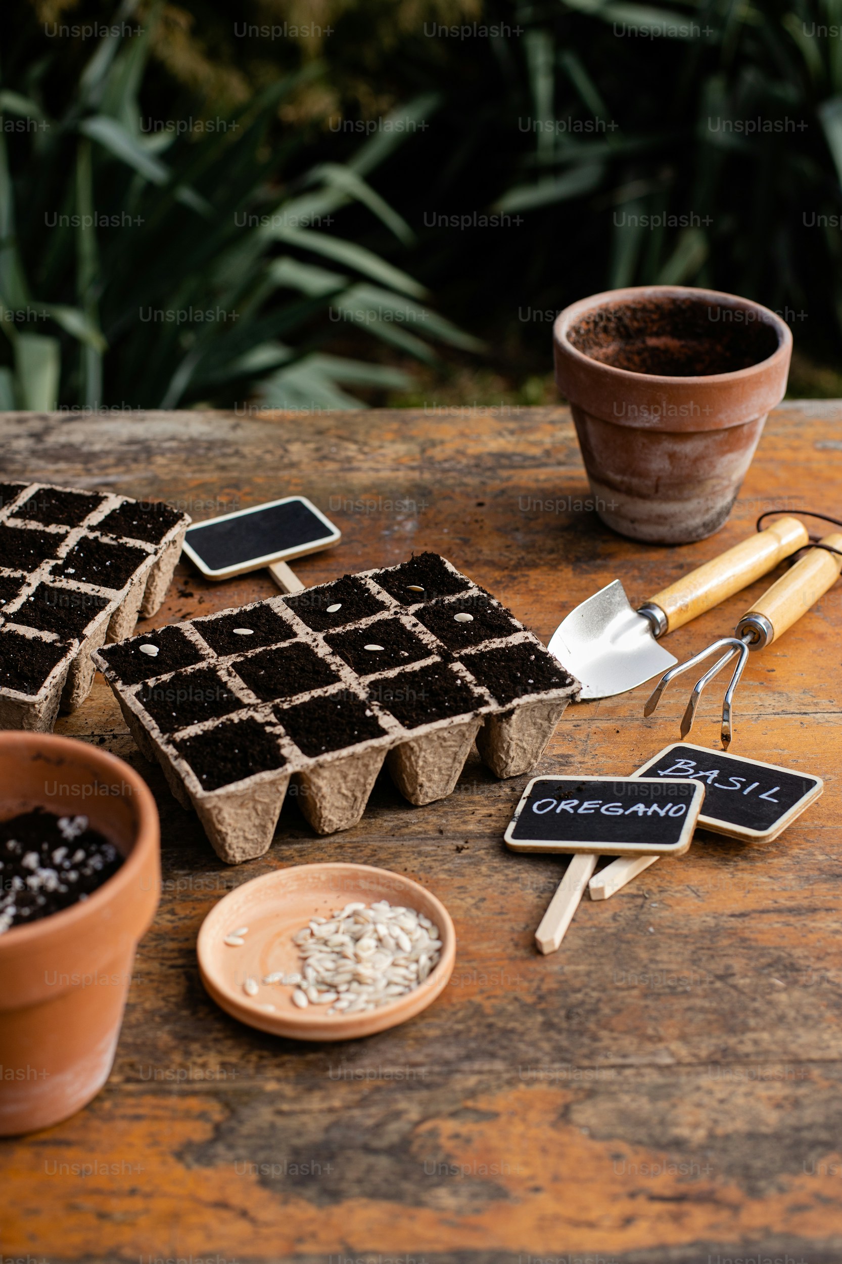 Plant Propagation Services