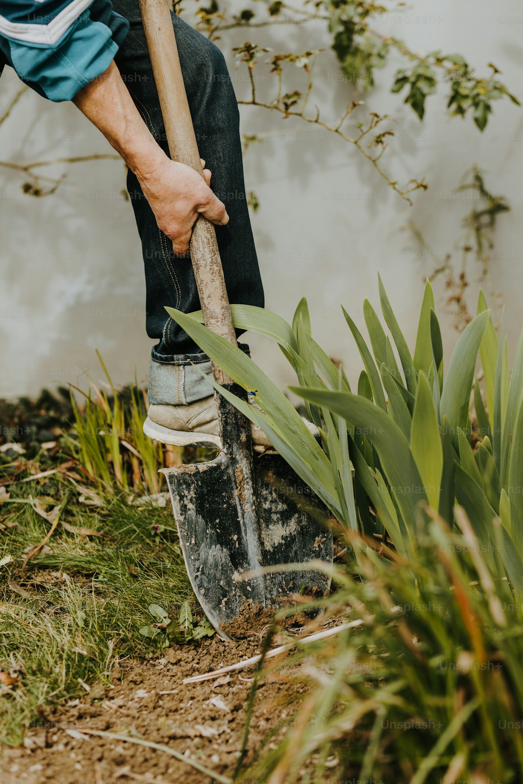 Soil and Fertilizers Services