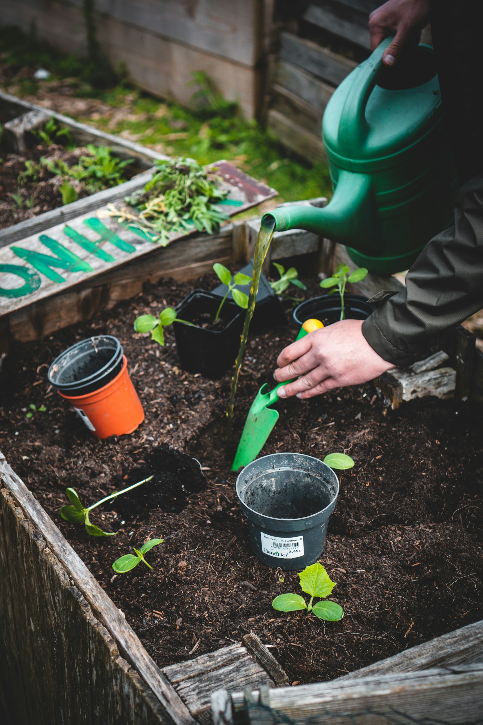 Garden Maintenance Services
