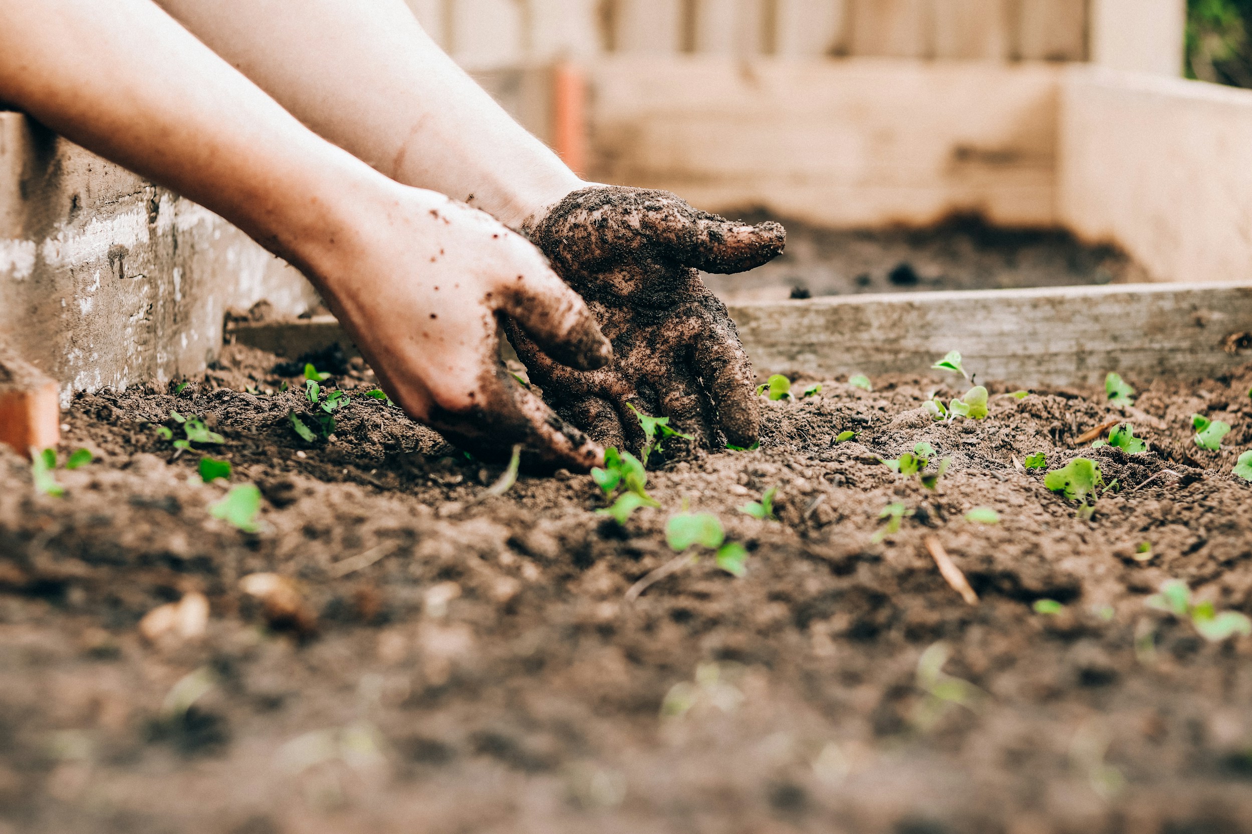 Soil Improvement Services