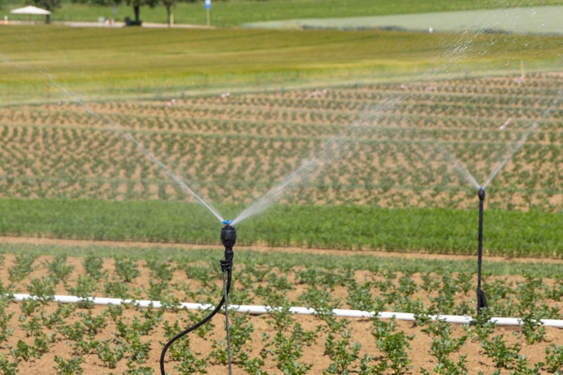 Irrigation Services