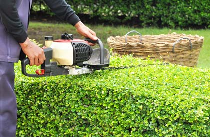 Hardscaping Services