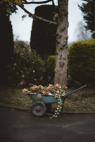 Landscape Design Services